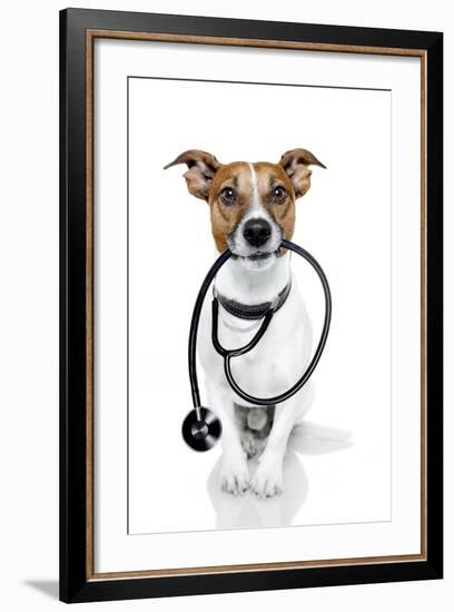 Medical Doctor Dog-Javier Brosch-Framed Photographic Print