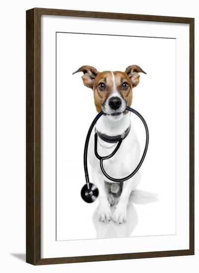 Medical Doctor Dog-Javier Brosch-Framed Photographic Print