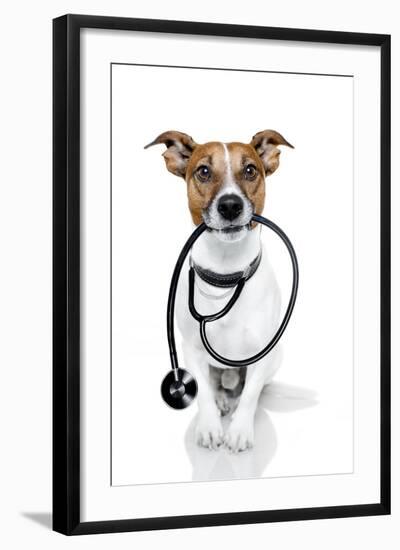 Medical Doctor Dog-Javier Brosch-Framed Photographic Print