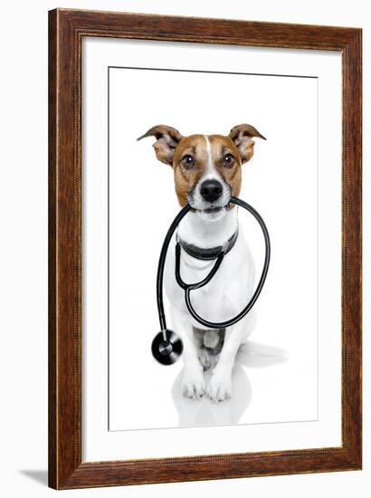 Medical Doctor Dog-Javier Brosch-Framed Photographic Print