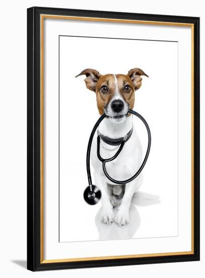 Medical Doctor Dog-Javier Brosch-Framed Photographic Print