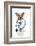 Medical Doctor Dog-Javier Brosch-Framed Photographic Print