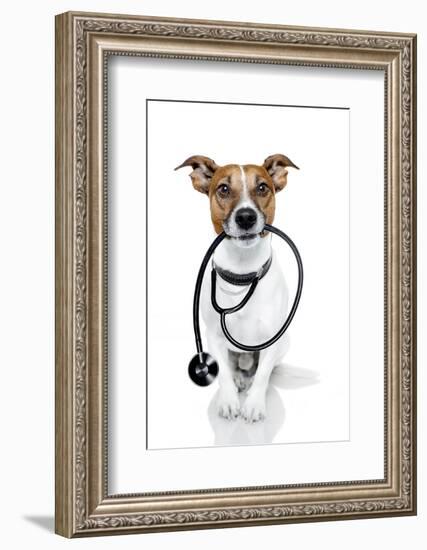 Medical Doctor Dog-Javier Brosch-Framed Photographic Print