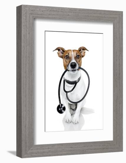 Medical Doctor Dog-Javier Brosch-Framed Photographic Print