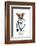 Medical Doctor Dog-Javier Brosch-Framed Photographic Print