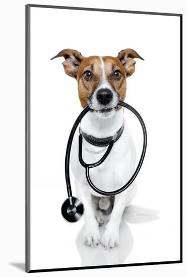 Medical Doctor Dog-Javier Brosch-Mounted Photographic Print