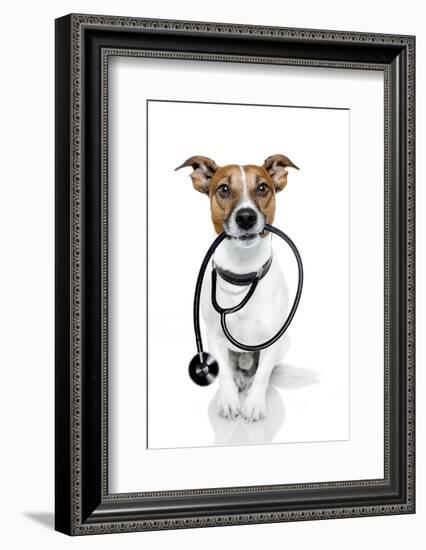 Medical Doctor Dog-Javier Brosch-Framed Photographic Print