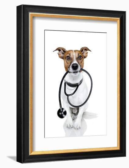 Medical Doctor Dog-Javier Brosch-Framed Photographic Print