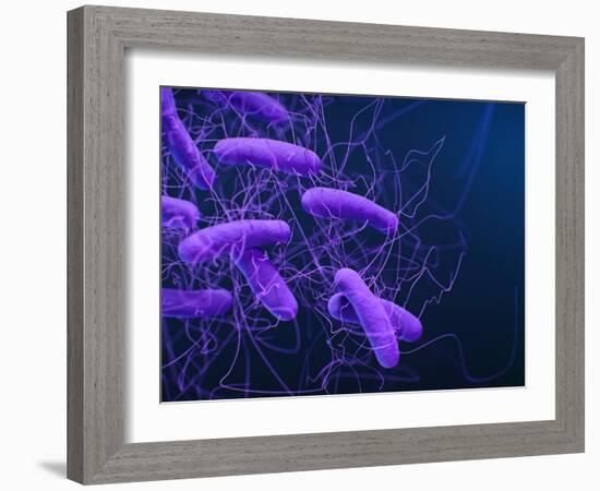 Medical illustration of Clostridioides difficile bacteria.-Stocktrek Images-Framed Art Print