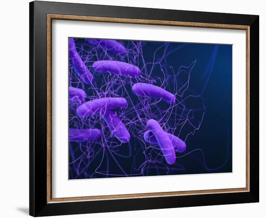 Medical illustration of Clostridioides difficile bacteria.-Stocktrek Images-Framed Art Print