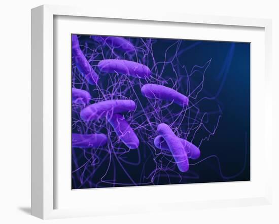 Medical illustration of Clostridioides difficile bacteria.-Stocktrek Images-Framed Art Print