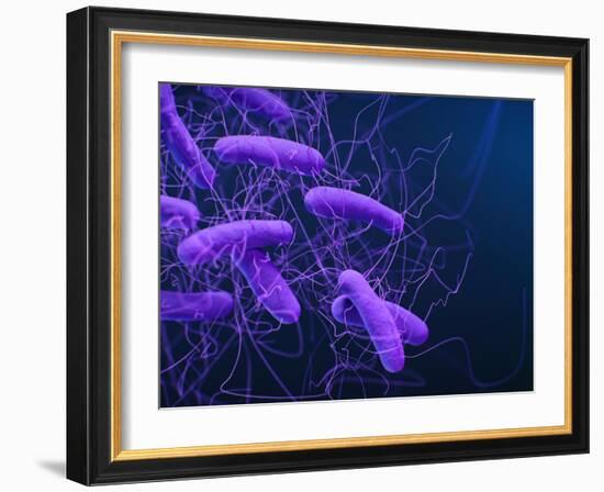 Medical illustration of Clostridioides difficile bacteria.-Stocktrek Images-Framed Art Print