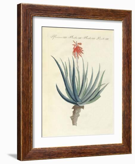 Medical Plants-null-Framed Giclee Print