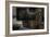 Medical Screen in Outdated Hopstal-Nathan Wright-Framed Photographic Print