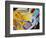 Medical Still Life-Chris Rogers-Framed Premium Photographic Print