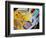 Medical Still Life-Chris Rogers-Framed Premium Photographic Print