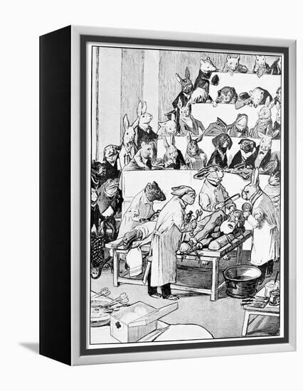 Medical Vivisection, Satirical Artwork-Science Photo Library-Framed Premier Image Canvas