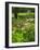 Medicinal Garden, Oakland House Seaside Resort, Brooksville-Jerry & Marcy Monkman-Framed Photographic Print