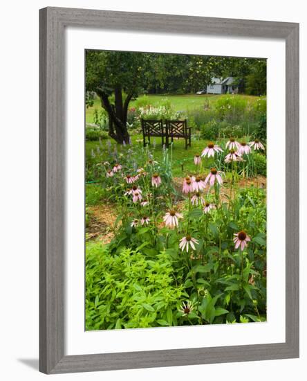 Medicinal Garden, Oakland House Seaside Resort, Brooksville-Jerry & Marcy Monkman-Framed Photographic Print