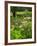 Medicinal Garden, Oakland House Seaside Resort, Brooksville-Jerry & Marcy Monkman-Framed Photographic Print