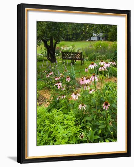 Medicinal Garden, Oakland House Seaside Resort, Brooksville-Jerry & Marcy Monkman-Framed Photographic Print