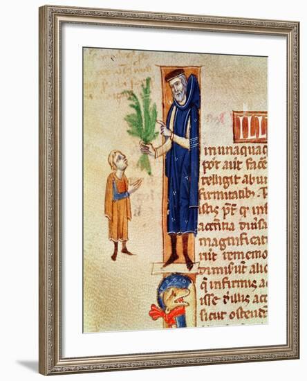 Medicinal Plants, Illustration from Traite de Medecine by Claudius Galenus-null-Framed Giclee Print