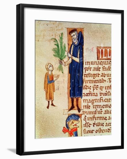 Medicinal Plants, Illustration from Traite de Medecine by Claudius Galenus-null-Framed Giclee Print