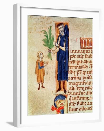 Medicinal Plants, Illustration from Traite de Medecine by Claudius Galenus-null-Framed Giclee Print