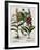 Medicinal Plants-Georgette Douwma-Framed Premium Photographic Print