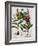 Medicinal Plants-Georgette Douwma-Framed Photographic Print