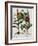 Medicinal Plants-Georgette Douwma-Framed Photographic Print