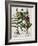 Medicinal Plants-Georgette Douwma-Framed Photographic Print