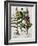 Medicinal Plants-Georgette Douwma-Framed Photographic Print