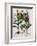 Medicinal Plants-Georgette Douwma-Framed Photographic Print