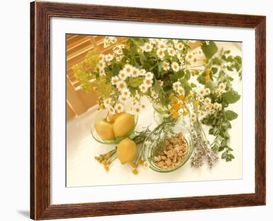 Medicinal Plants-Erika Craddock-Framed Photographic Print