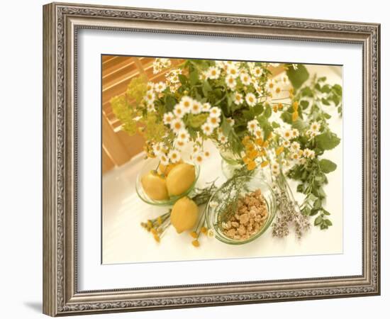 Medicinal Plants-Erika Craddock-Framed Photographic Print