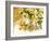 Medicinal Plants-Erika Craddock-Framed Photographic Print