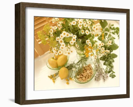 Medicinal Plants-Erika Craddock-Framed Photographic Print