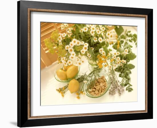 Medicinal Plants-Erika Craddock-Framed Photographic Print