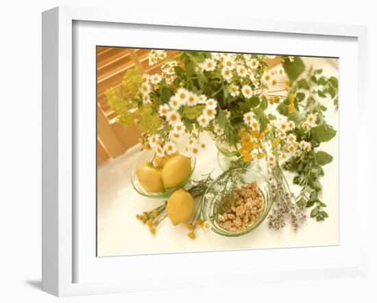 Medicinal Plants-Erika Craddock-Framed Photographic Print