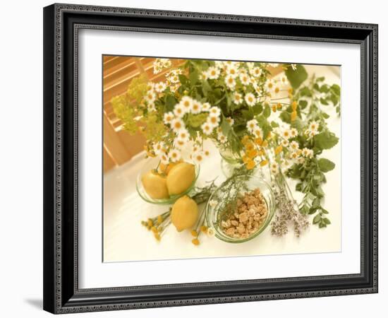 Medicinal Plants-Erika Craddock-Framed Photographic Print