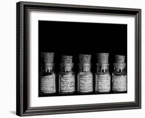 Medicines Used to Prevent Hay Fever-Hansel Mieth-Framed Photographic Print