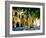 Medieval Architecture, Rhodes Town, Rhodes, Greece-Doug Pearson-Framed Photographic Print