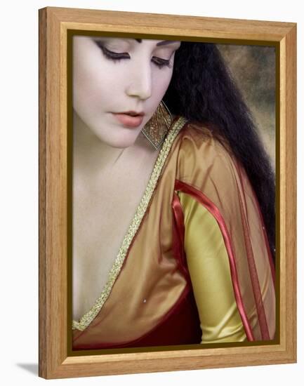 Medieval Beauty-Lynne Davies-Framed Premier Image Canvas