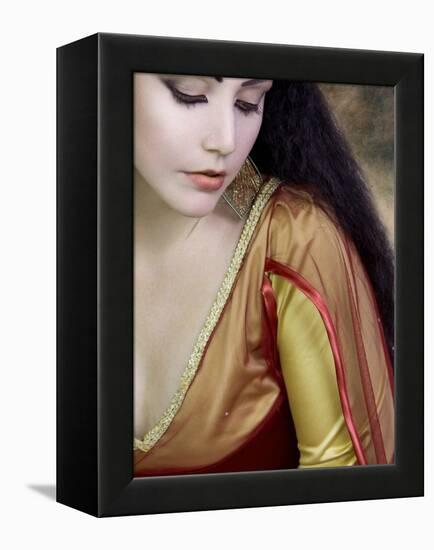 Medieval Beauty-Lynne Davies-Framed Premier Image Canvas