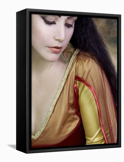 Medieval Beauty-Lynne Davies-Framed Premier Image Canvas