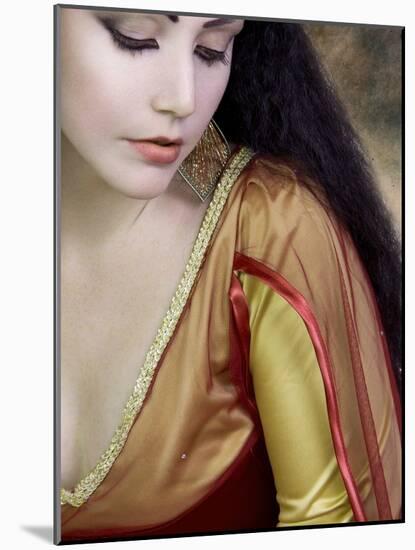 Medieval Beauty-Lynne Davies-Mounted Photographic Print