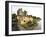 Medieval Castle, County Clare, Ireland-William Sutton-Framed Photographic Print