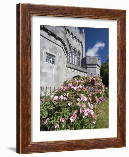 Medieval Castle, County Kilkenny, Ireland-William Sutton-Framed Photographic Print