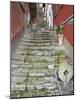Medieval Cobbled Back Streets of Varenna, Lake Como, Lombardy, Italy, Europe-Peter Barritt-Mounted Photographic Print